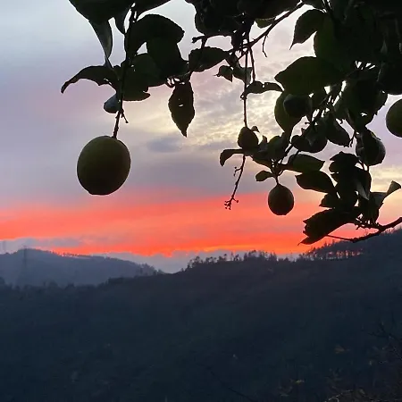 Casa Do Ferreiro - Bocado *