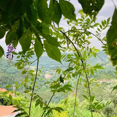 Σπίτι διακοπών Casa Do Ferreiro - Bocado *