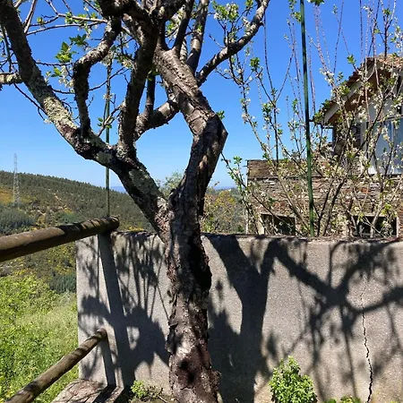 Σπίτι διακοπών Casa Do Ferreiro - Bocado *