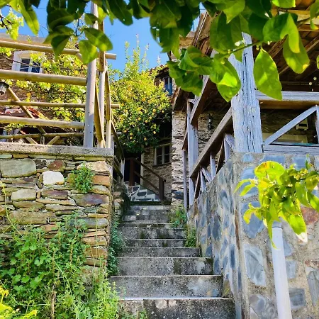 Σπίτι διακοπών Casa Do Ferreiro - Bocado Arganil