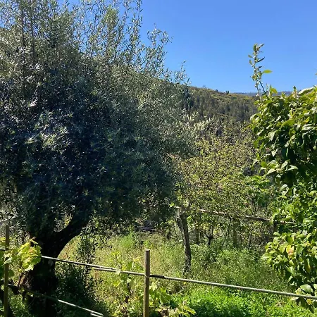 Casa Do Ferreiro - Bocado Σπίτι διακοπών Arganil