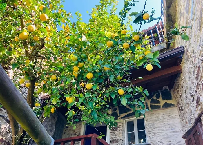 بيت للعطل Casa Do Ferreiro - Bocado