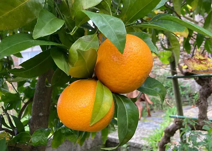 Casa Do Ferreiro - Bocado بيت للعطل أرغانيل