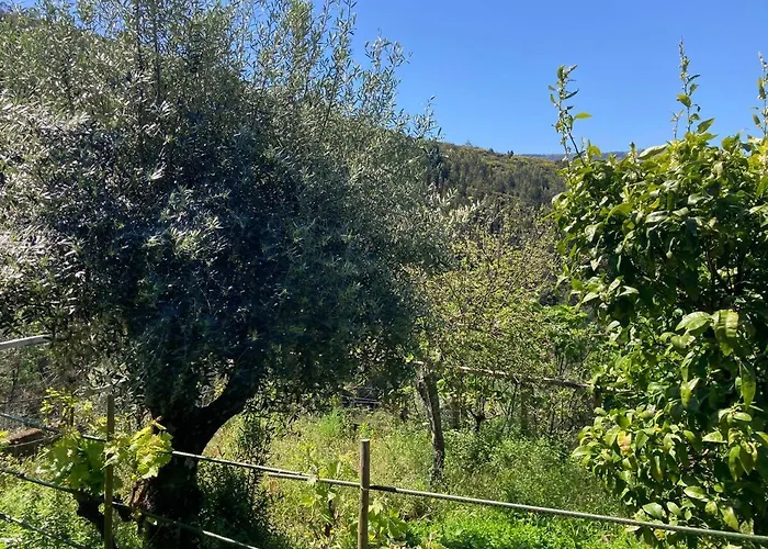 Casa Do Ferreiro - Bocado بيت للعطل أرغانيل